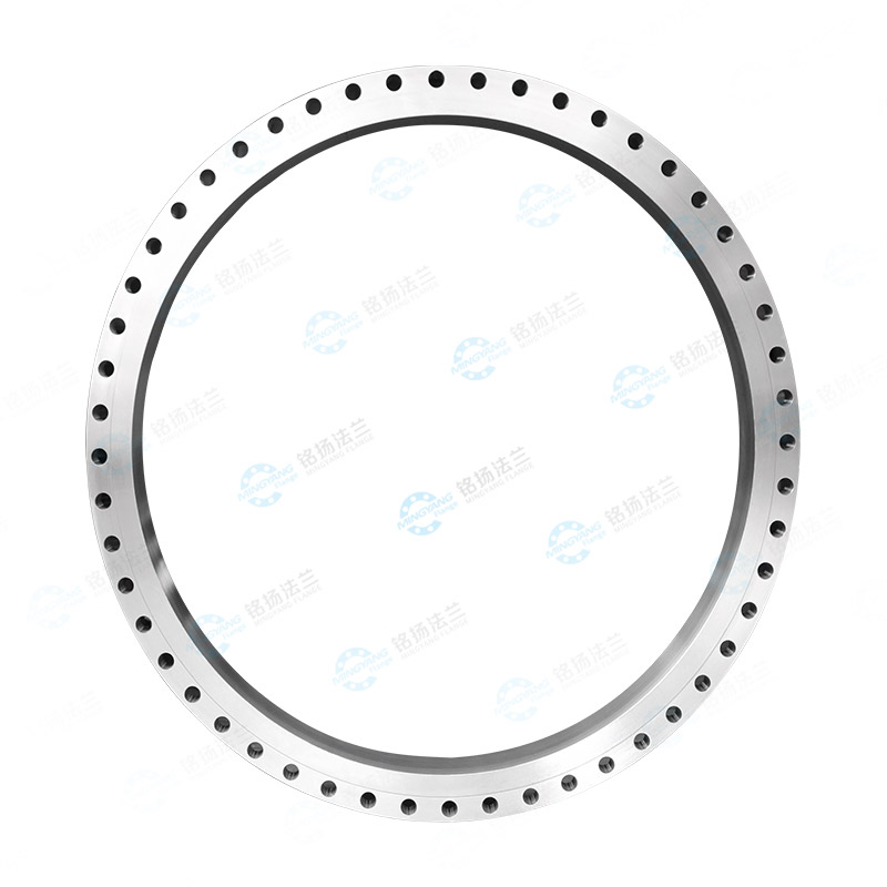 Large-diameter flange