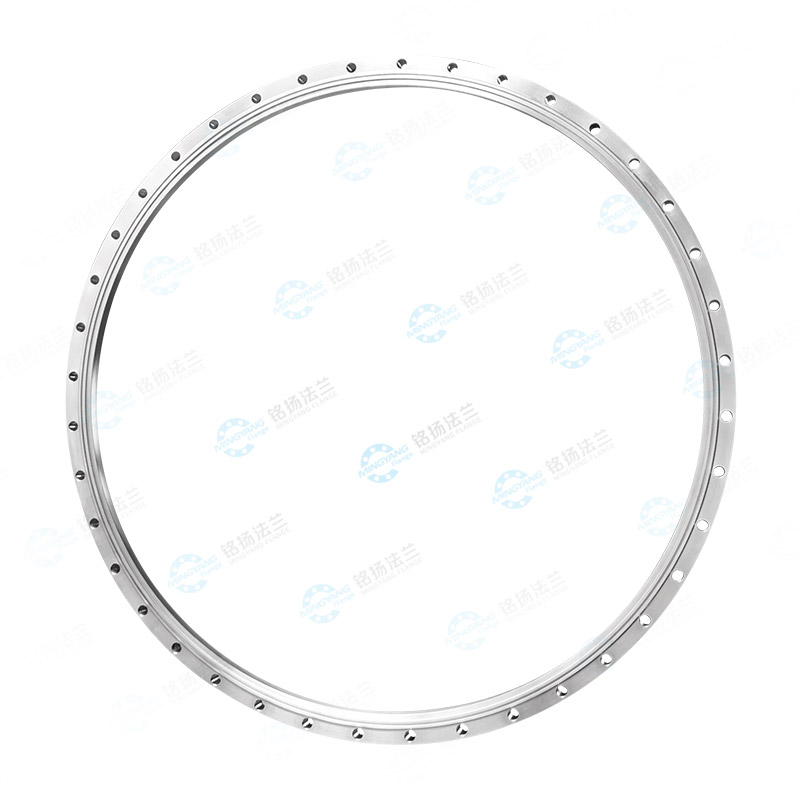 Large diameter flange