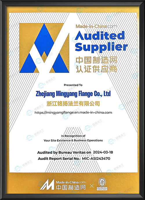 Certified supplier of Made-in-China.com