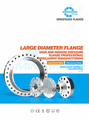Corporate promotional brochure