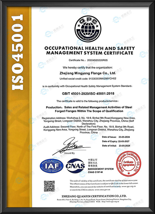 Occupational health and safety management system certification