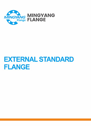 External standard flange