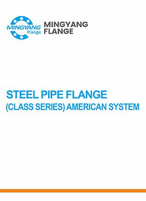 Steel pipe flange (CLASS series) American system