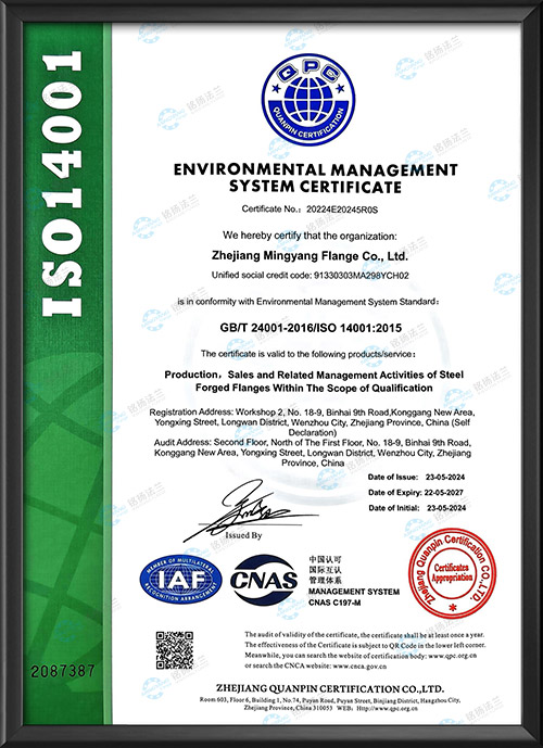 Environmental management system certification